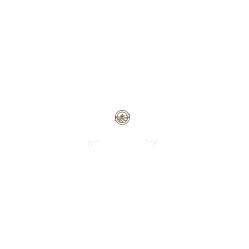 Aerial AG